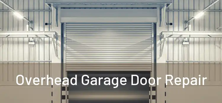  Overhead Garage Door Repair 
